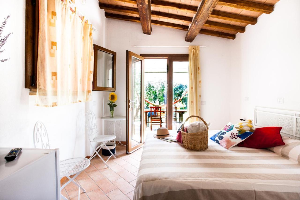 Agriturismo Fontetrilla 오르베텔로 외부 사진