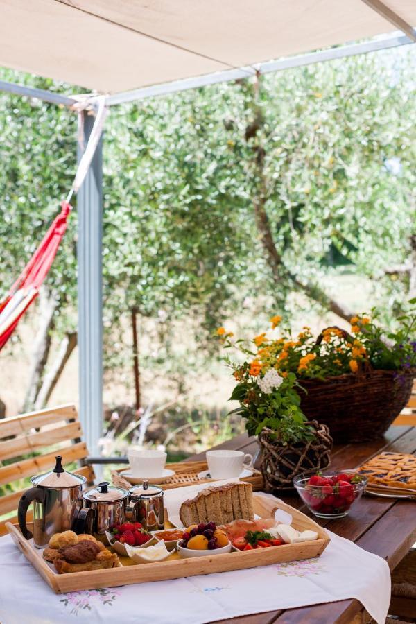 Agriturismo Fontetrilla 오르베텔로 외부 사진