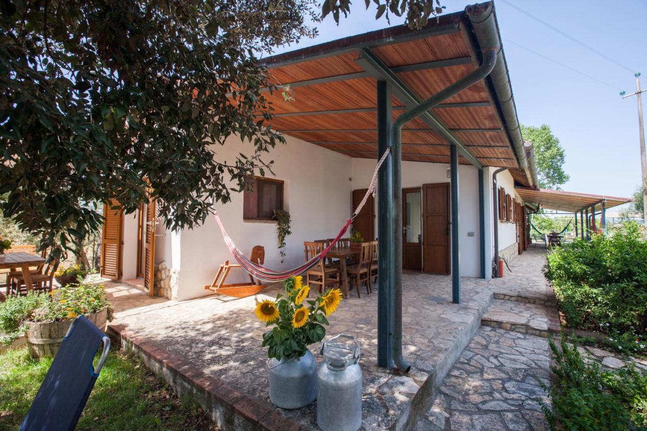 Agriturismo Fontetrilla 오르베텔로 외부 사진