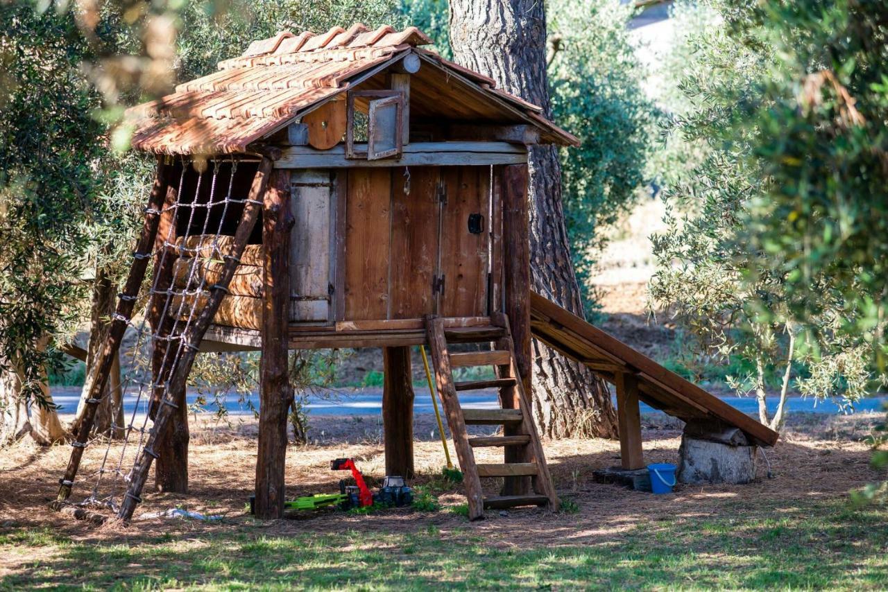 Agriturismo Fontetrilla 오르베텔로 외부 사진